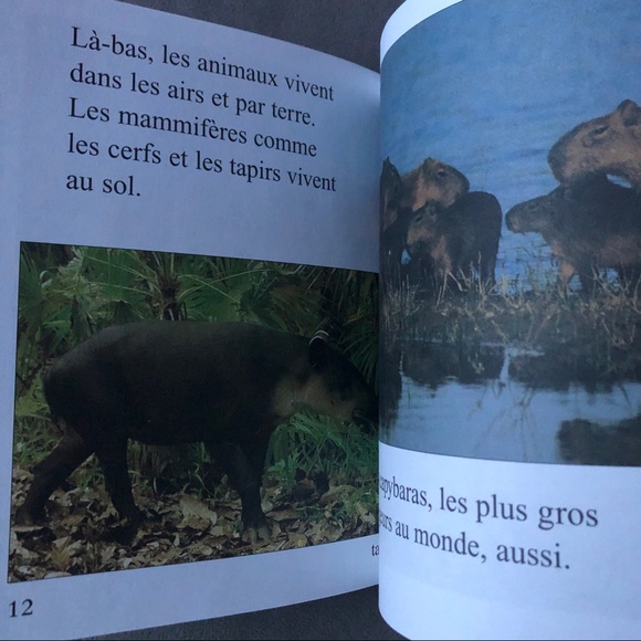 FRENCH ~ Set of 4 ~ Science Readers ~ Brand New! - Picture 12 of 16